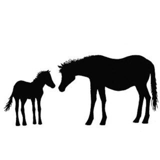 Lavinia Stamps, clear stamp - Horse and Foal