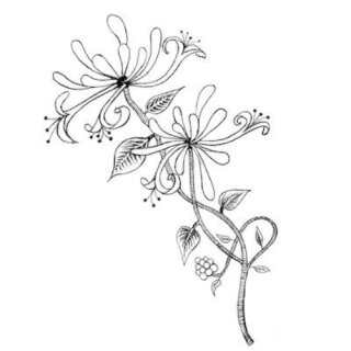 Lavinia Stamps, clear stamp - Honeysuckle