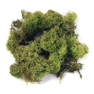 Islandmoos, 30 g, hellgrün