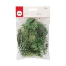 Islandmoos, 30 g, hellgr&uuml;n