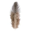 Dekofeder, 6cm, ca. 40 St&uuml;ck, 2g, schwarz/wei&szlig;