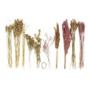 Trockenblumen Mix, zartrosa, Box