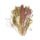 Trockenblumen Mix, zartrosa, Box