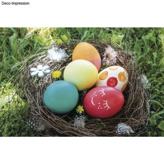 Eierfarben Set mit 5 Farben, bunt, Lebensmittel-Farbstoffe