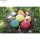 Eierfarben Set mit 5 Farben, bunt, Lebensmittel-Farbstoffe