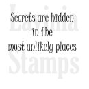 Lavinia Stamps, clear stamp - Secrets are Hidden