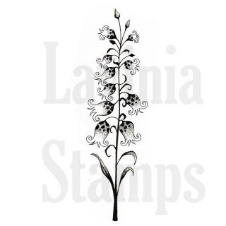 Lavinia Stamps, clear stamp - Lilly