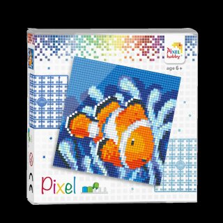 Pixel Hobby, Pixel Set, Clownfisch