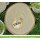 Lawn Fawn, clear stamp, hive five