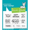 Lawn Fawn, clear stamp, tiny tag sayings: fruit
