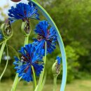 Hanne Olesen, Quilling Anleitung - Kornblume