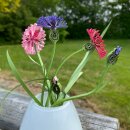Hanne Olesen, Quilling Anleitung - Kornblume