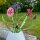 Hanne Olesen, Quilling Anleitung - Kornblume