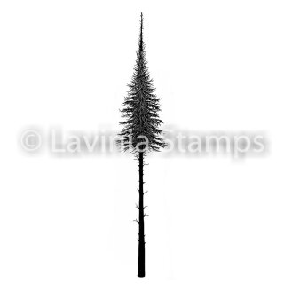 Lavinia Stamps, clear stamp - Fairy Fir Tree