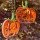 Hanne Olesen: Quilling Tool, Pumpkin/ Kürbis