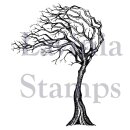 Lavinia Stamps, clear stamp - Seasonal Tree