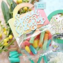 Mama Elephant, clear stamp, SPECIAL DELIVERY WISHES