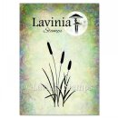 Lavinia Stamps, clear stamp - Bulrushes
