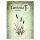 Lavinia Stamps, clear stamp - Bulrushes