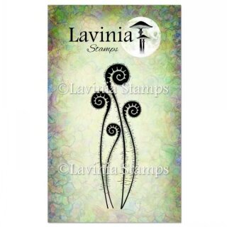 Lavinia Stamps, clear stamp - Fern Heads