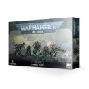 Warhammer 40.000, Necrons, Immortals - Unsterbliche