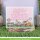 Lawn Fawn, rainbow ever after collection pack, 12"x12" / 30,05x30,5cm, Block 12 Blatt
