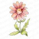 Stamping Bella, Rubber Stamp, TINY TOWNIE WONDERLAND DAISY