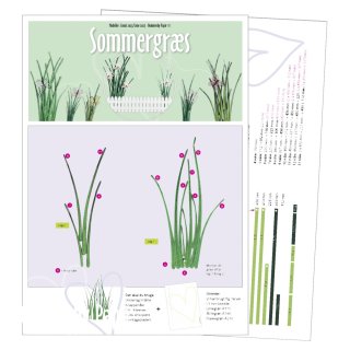 Dommerby Papir, Quilling Anleitung - Sommergras