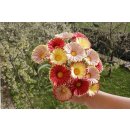papier + ideen, 3D Quilling Kit Erdbeerblumen