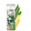 papier + ideen, 3D Quilling Kit Margeriten