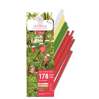 Karen Marie Klip: 3D Erdbeeren Quilling Kit