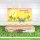 Lawn Fawn, lawn cuts/ Stanzschablone, scalloped fringe border