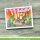 Lawn Fawn, clear stamp, critters in the desert