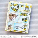 Sweet November Stamps, clear stamp, Bountiful Blessings: Squeeze the Day