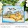 Sweet November Stamps, clear stamp, Tide Pool Pals