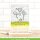 Lawn Fawn, coloring stencils, whoosh, kites!