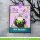 Lawn Fawn, Lawn Clippings, spiderweb background stencil