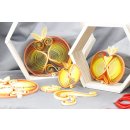 papier + ideen: Quilling Kit, Äpfel mit Farbverlauf