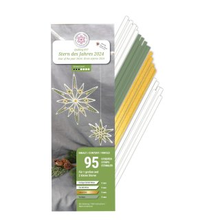 papier + ideen: Quilling Kit, Stern des Jahres 2024