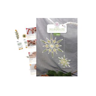 papier + ideen: Quilling Anleitung, Stern des Jahres 2024
