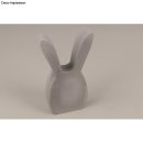 PET Gie&szlig;form H&auml;schen gro&szlig;, Motiv: 10,5x18cm / Tiefe bis 3cm