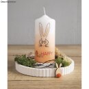 Transferfolie Frohe Ostern, versch. bunte Designs, 2 Bogen
