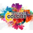 Citadel Colour Technical: AGRELLAN EARTH 24ml