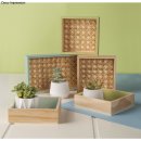 Holz Deko Tablett Set, 31,5x21,5x3 cm, 6 tlg., 1 Set, natur