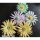 Dommerby Papir, Quilling Anleitung - Belindas Blumen
