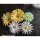 Dommerby Papir, Quilling Anleitung - Belindas Blumen
