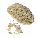 Posthorn-Muscheln, im Netz