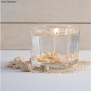 Posthorn-Muscheln, im Netz