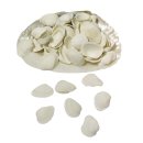 Clovis-Muscheln, im Netz