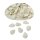 Clovis-Muscheln, im Netz
